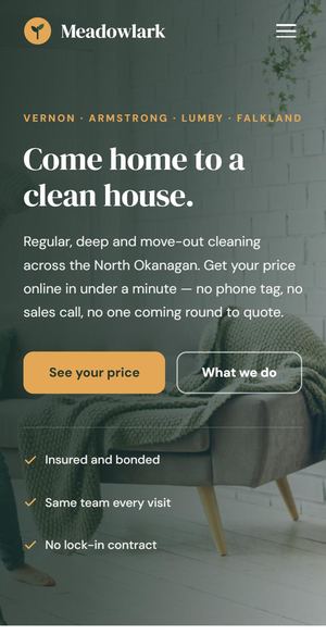 The cleaning company site on a phone